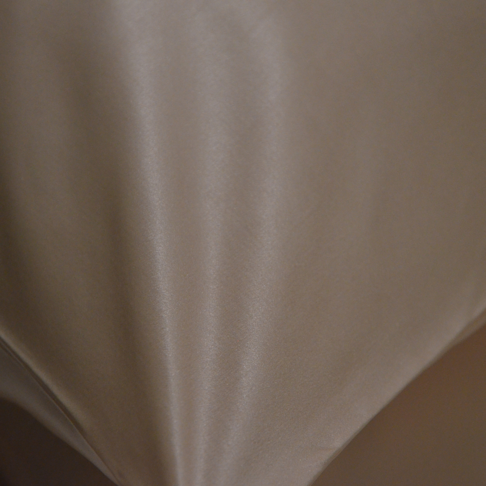 100% SILK PILLOWCASE