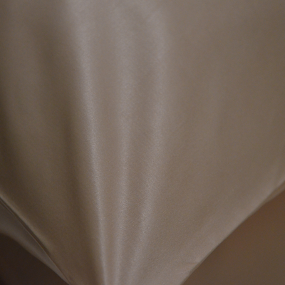 100% SILK PILLOWCASE